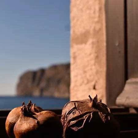 Pyrgoi Theodorakaki: O Hotel