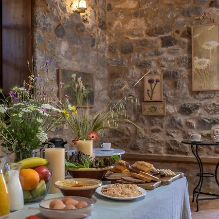 Pyrgoi Theodorakaki: O Gerolimenas